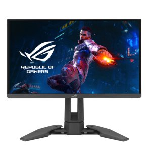 Skrm Asus PG248QP 24,1
