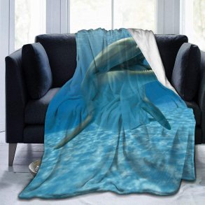 Tppe Ricoh M C240 dyr