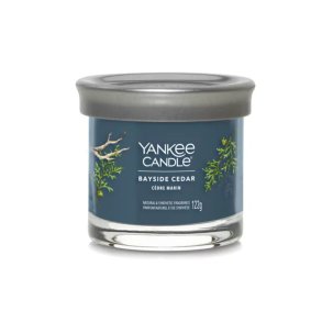 Duftlys Yankee Candle Bayside Cedar 122 ml