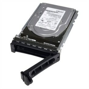 Harddisk Dell 400-BIFW 600 GB 2,5