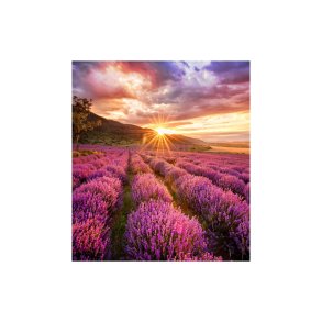 Videovg Monitor Samsung LH025IFHBAS/EN