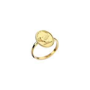 Ring til kvinder AN Jewels AAC.R01Y-6 6