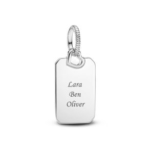 Perler til kvinder Pandora 398611C00 Slvfarvet