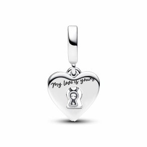 Charm til kvinder Pandora 793119C01