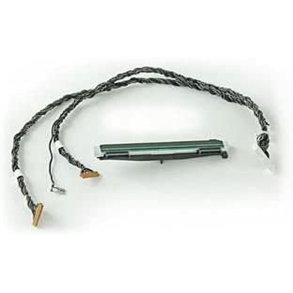 Tandbrstehoved Zebra D420D, ZD620D