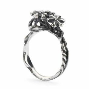 Ring til kvinder Trollbeads TAGRI-00304 14