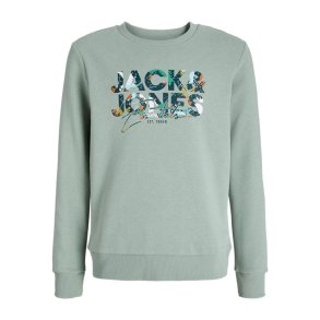 Sweaters uden H�tte til B�rn Jack & Jones Jjgeplas Crew Neck Bl�