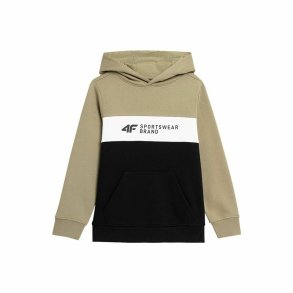 Sweatshirt til Brn 4F JBLM003  Brun