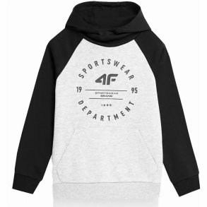 Sweatshirt til B�rn 4F  221 Cold Light  Gr�