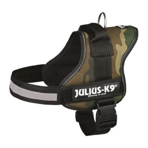 Hundens forstrkede seletj JuliusK9