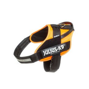 Hundesele Julius K9 IDC Orange L 1 66-85 cm