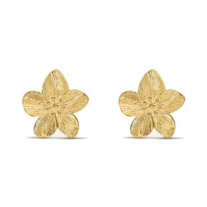 reringe til kvinder Stroili 1694692 Gylden