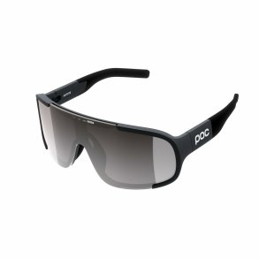 Solbriller Julbo Aspire Sort
