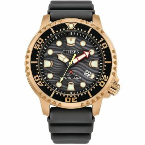 Herreur Citizen BN0163-00H ( 44 mm)