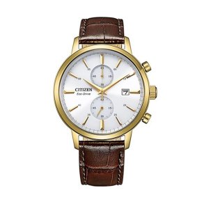 Herreur Citizen CA7062-15A