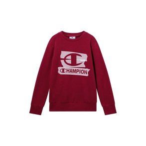 Sweaters uden H�tte til B�rn Champion Graphic Shop R�dbrun M�rker�d