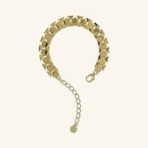 Dameur Etrusca WSET00837.YG