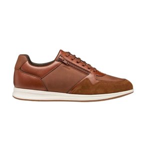 Herre sneakers Geox U Avery A Brun