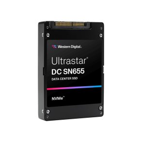 Harddisk Western Digital 0TS2462 3,84 TB SSD