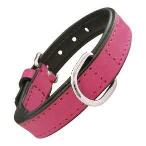 Hundehalsbnd Gloria Med puder Fuchsia (30 x 1,5 cm)