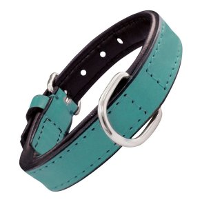 Hundehalsbnd Gloria Med puder Turquoise 55 cm (55 x 2,5 cm)
