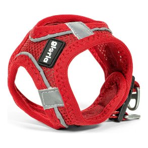 Hundesele Gloria Air Mesh Trek Star Justerbar Rd Strrelse XXXS (18-20 cm)