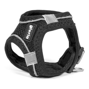 Hundesele Gloria Air Mesh Trek Star Justerbar Sort Strrelse XXXS (18-20 cm)