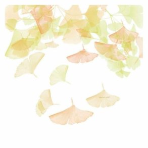 Nordisk cover Devota & Lomba Rai