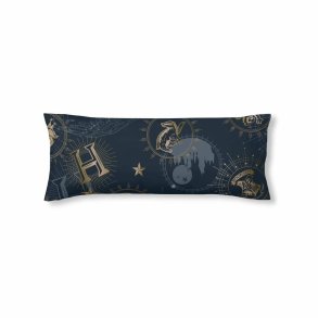 Pudebetrk Harry Potter Multifarvet 175 Trde 45 x 125 cm