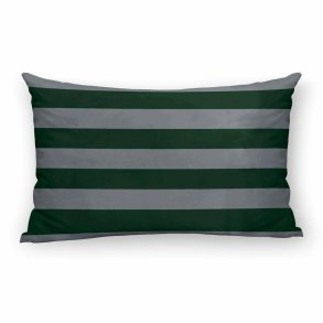 Pudebetrk Harry Potter Slytherin Values Multifarvet 30 x 50 cm