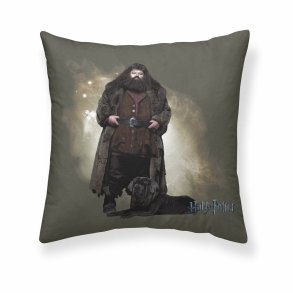 Pudebetrk Harry Potter Hagrid Multifarvet 50 x 50 cm