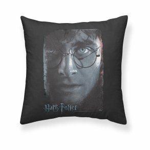 Pudebetrk Harry Potter Multifarvet 50 x 50 cm