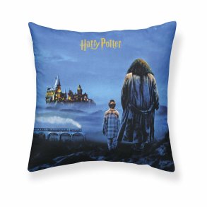 Pudebetrk Harry Potter Philosopher's Stone Multifarvet 50 x 50 cm