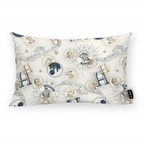 Pudebetrk Harry Potter Multifarvet 30 x 50 cm