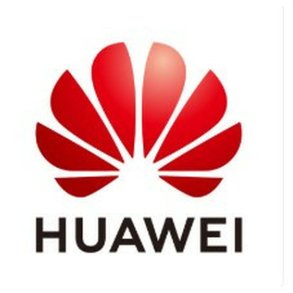 Switch Huawei 45060155