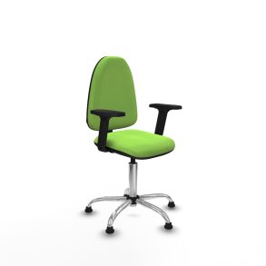 Kontorstol Piqueras y Crespo B2D05RT Pistacie