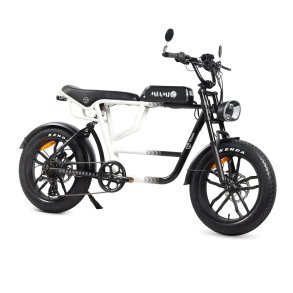 Elektrisk cykel Youin BK7000 MIAMI 250 W 20