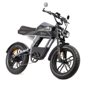 Elektrisk cykel Youin BK7100 LAS VEGAS 250 W 20
