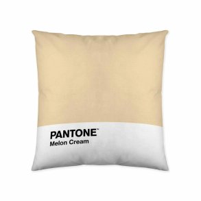 Pudebetrk Melon Cream Pantone 63836415 50 x 50 cm