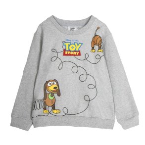 Sweaters uden Htte Toy Story Gr