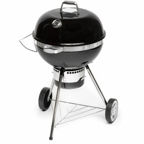 Havegrill Transportabel Fieldmann FZG 1017 Metal Stl