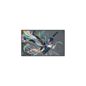 Videovg Monitor Philips 55BDL3511Q/00 4K Ultra HD 55