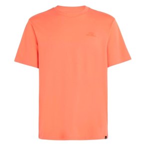 Kort�rmet T-shirt til M�nd O'Neill Small Logo Orange