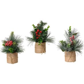 Dekorativ plante Everlands Jul 20 x 15 cm (3 enheder)