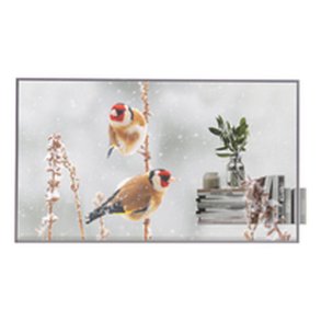 Videovg Monitor LG 55EW5P-M Full HD 55