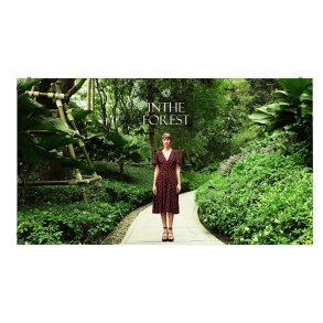 Videovg Monitor LG LED CABINET 1.5 4K Ultra HD