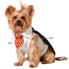 Hundedragt Strrelse S Tryllekunster mand