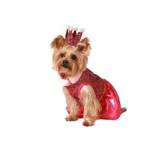 Hundedragt Strrelse S Prinsesse