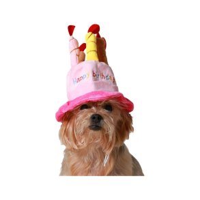 Hundedragt Pink Hat Fdselsdag