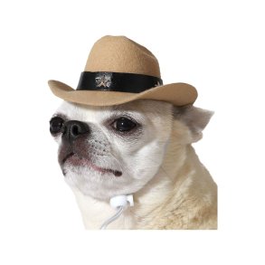 Hundedragt Hat Politi